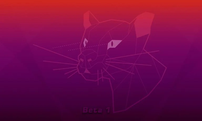 Focal Fossa Ubuntu 20.04 Beta