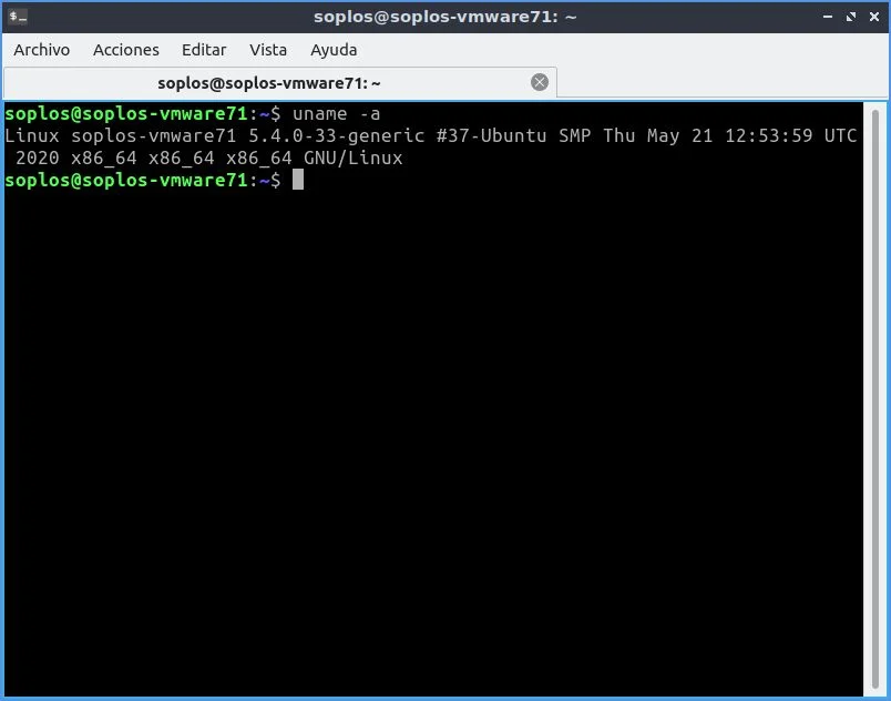 Versión de kernel de Lubuntu.