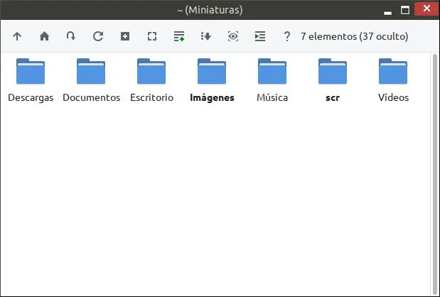 Sistema de archivos de AntiX Linux