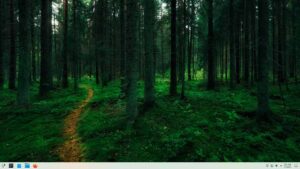 Escritorio KDE Neon 5.22