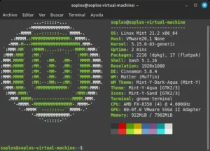 Información de sistema Linux Mint