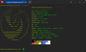 Información de sistema Deepin 23